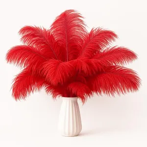 Lamar 20Pcs 14-16'' Red Ostrich Feathers for Decoration, Wedding Centerpieces, Crafts, Festival, Carnival, Party Decor, Floral Arrangement, Bohemian Home Decor (Red)