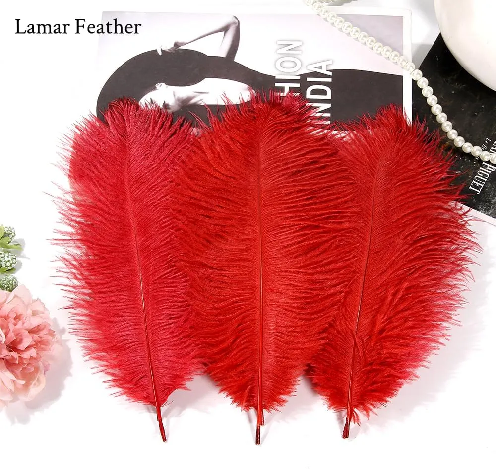 Lamar 20Pcs 14-16'' Red Ostrich Feathers for Decoration, Wedding Centerpieces, Crafts, Festival, Carnival, Party Decor, Floral Arrangement, Bohemian Home Decor (Red)