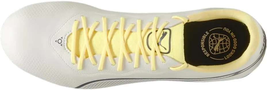PUMA Men's King Pro Firm Ground/Artificial Ground