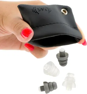 Rave High Fidelity Ear Plugs: HiFi Hearing Protection for Music, Concert; Noise Reducing Earplugs Help Stop Tinnitus; Ear Buds Filter Noise for Ear Protection (Black Case) (2 Pairs - 19/25 Decibel)