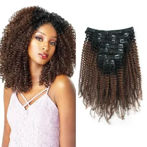 Sassina Real Thick Double Wefts Clip In Human Hair Extensions Afro Curly Style Two Tone 1B Off Black Fading into Light Chocolate Brown 120 Grams 7 Pieces-Set With 17 Clips AC 1BT4 14 Inch