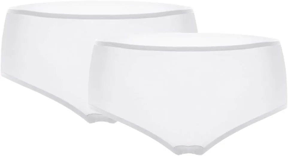 SilRiver Women's 100% Silk Panty Briefs Travel Hipster Bikini Underwear (2pcs Pack) Breathable Underpants