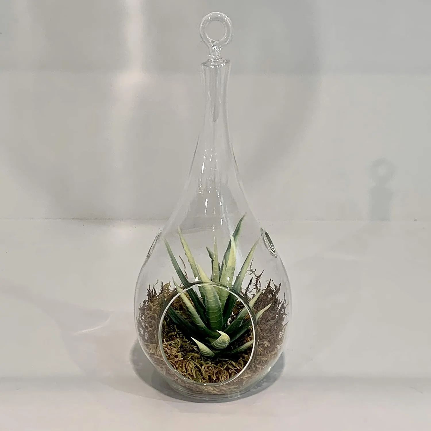 WGV Glass Hanging Plant Terrarium, Width 4.75", Height 9.5", Teardrop Pear DIY Air Succulent Planter Clear Tea Light Votive Candle Holder, Wedding Event Office Home Outdoor Decor, 1 Piece