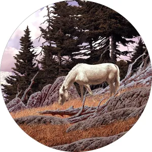 White Horse Mountain Wheel Spare Tire Cover(Custom Made to Your tire Size-See menu)
